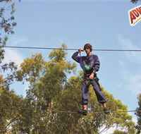 Adventure Parc at Currumbin Wildlife Sanctuary - Accommodation NSW