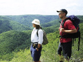 Sunshine Coast Hinterland Great! Walk - Accommodation NSW 0