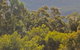 Conondale National Park - thumb 0
