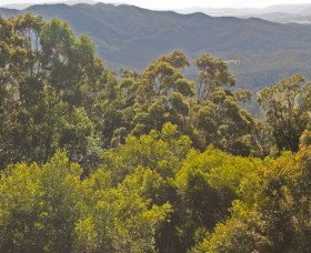 Conondale National Park - Accommodation NSW 0