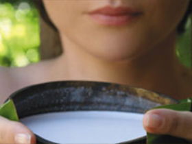 Ikatan Day Spa - Accommodation NSW 0