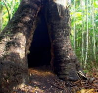 Tewantin National Park - Accommodation NSW