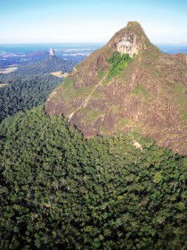 Mount Beerwah Track - Accommodation NSW 0