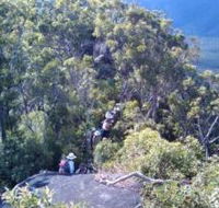 Mia Mia State Forest - Accommodation NSW