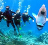 Gotham City Dive Site - Accommodation NSW