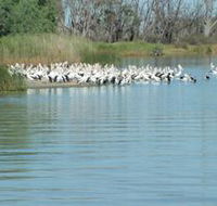 Lake Ross - Accommodation NSW