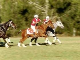 Morgan Park - Accommodation NSW 0