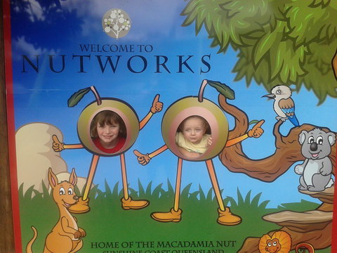 Nutworks - Accommodation NSW 4