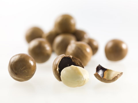 Nutworks - Accommodation NSW 5