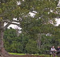 Ravensbourne National Park - Accommodation NSW