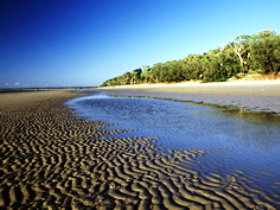 Kinkuna Section - Accommodation NSW 0