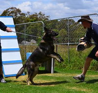 Lawdogs Australia - Accommodation NSW