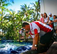 The Living Reef on Daydream Island - Accommodation NSW