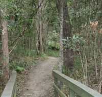 Springwood Conservation Park - Accommodation NSW