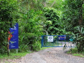 The Bat Hospital Visitor Centre - Accommodation NSW 0