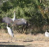 Bulloo River Walk - Accommodation NSW