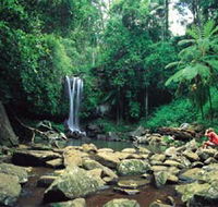 Tamborine National Park - Accommodation NSW