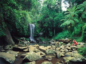 Tamborine National Park - Accommodation NSW 0
