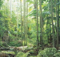 Python Rock - Accommodation NSW