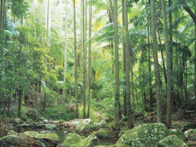 Python Rock - Accommodation NSW 0