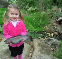 Wild Food Farm  Cafe - Accommodation NSW