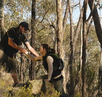 Greater Bendigo National Park - Accommodation NSW