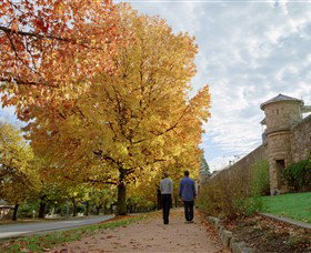 Indigo Gold Trail - Accommodation NSW 0