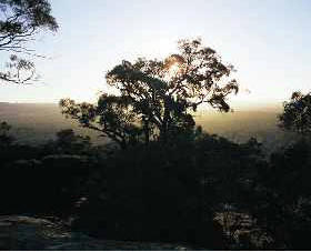 Yarra Flats - Accommodation NSW 0