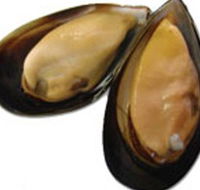 Sea Bounty - Accommodation NSW