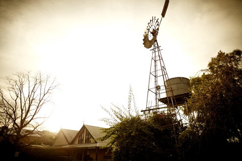 Brown Brothers Milawa Vineyard - Accommodation NSW 1