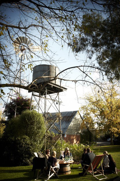 Brown Brothers Milawa Vineyard - Accommodation NSW 5