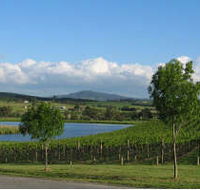 Yarrawood Estate - Accommodation NSW