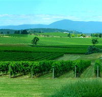 Acacia Ridge Vineyard - Accommodation NSW