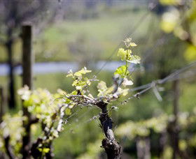 Michelini Wines - Accommodation NSW 0
