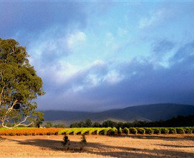 Mount Avoca - Accommodation NSW 0