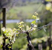 Kyneton Ridge Estate - Accommodation NSW