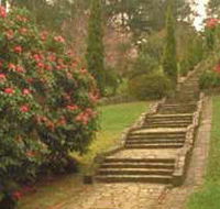 Maroondah Reservoir Park - Accommodation NSW