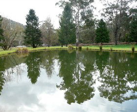 Harrietville VIC Accommodation NSW