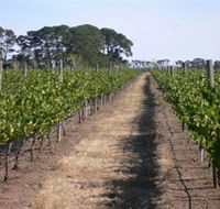 Mount Beckworth Wines - Accommodation NSW
