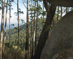 Gulaga National Park - Accommodation NSW 0