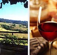 Jasper Valley Wines and Vines Cafe - Accommodation NSW