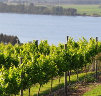 Two Figs Winery - Accommodation NSW
