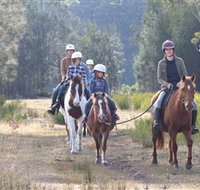 Horse Riding at Oaks Ranch and Country Club - Accommodation NSW