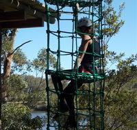 Trees Adventure Shoalhaven - Accommodation NSW
