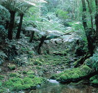 Deua National Park - Accommodation NSW
