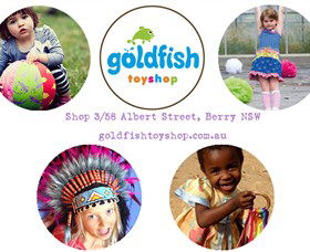 Goldfish Toy Shop - Accommodation NSW 0