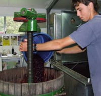 Fern Gully Winery - Accommodation NSW