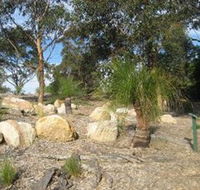 Curtis Park Arboretum - Accommodation NSW