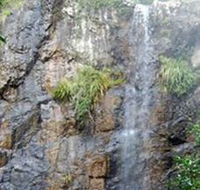 Wedding Bells Forest Drive - Accommodation NSW