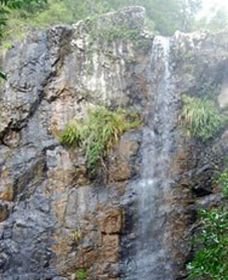 Wedding Bells Forest Drive - Accommodation NSW 0